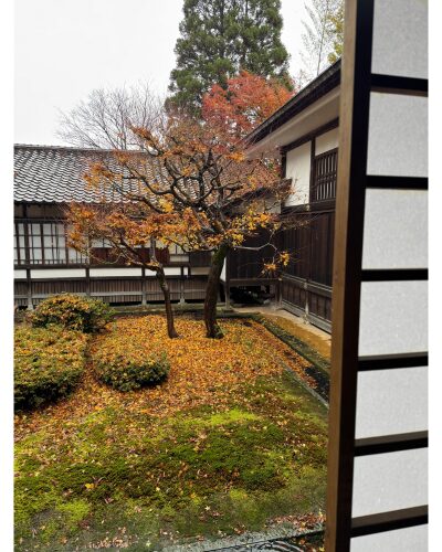 瑞龍寺の法堂の中庭