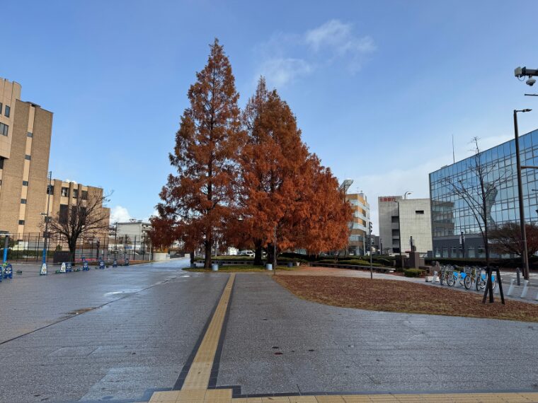 冨岩運河環水公園へ