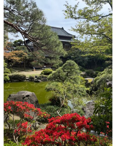 旧斎藤家別邸のお庭