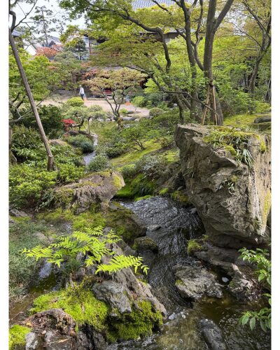 旧斎藤家別邸のお庭