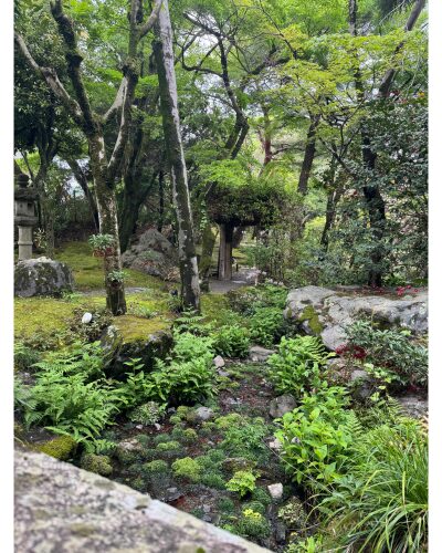 白沙村荘庭園