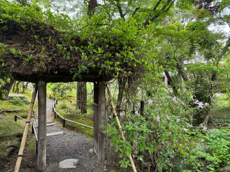 白沙村荘庭園