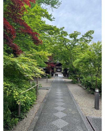 梨木神社の青もみじ