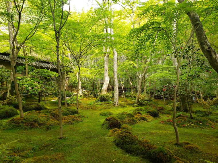 祇王寺