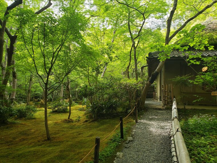 祇王寺