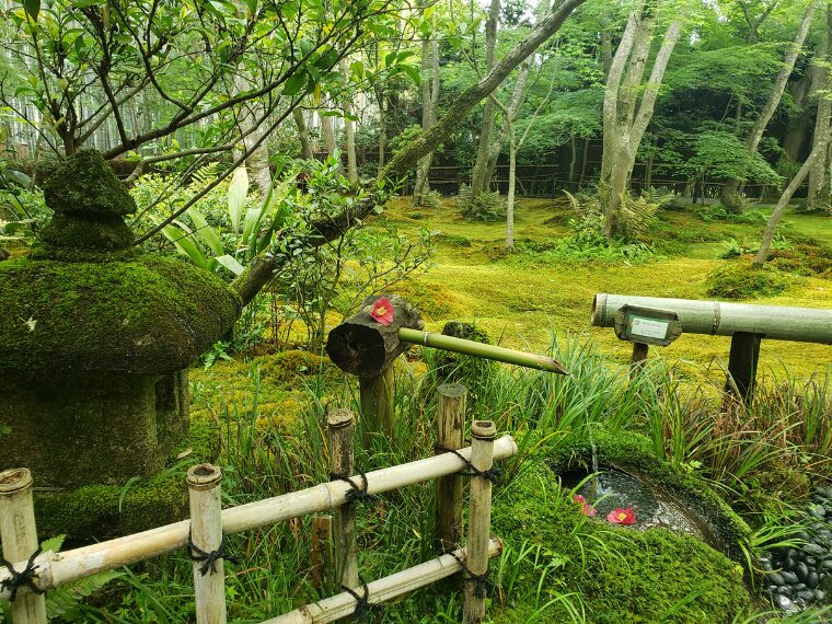祇王寺