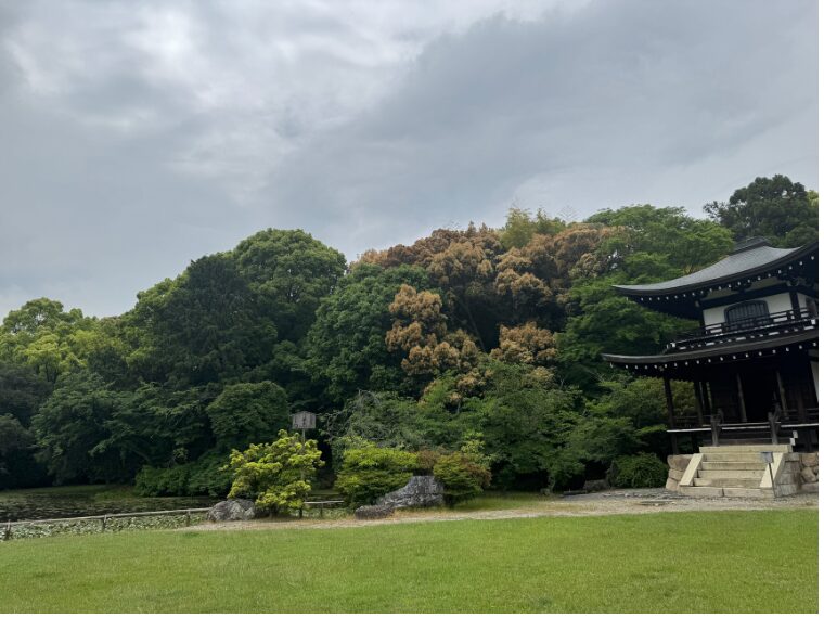 勧修寺の観音堂と氷室池