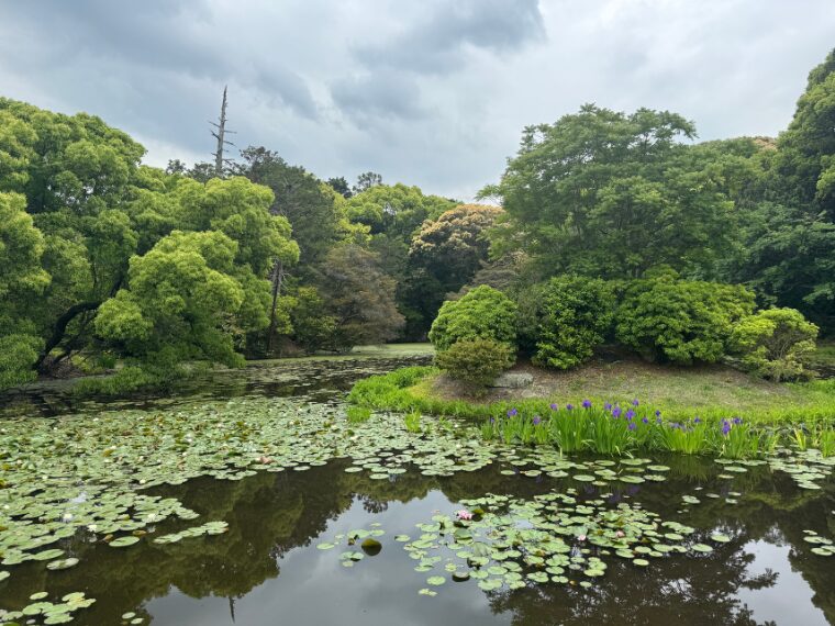 勧修寺の氷室池