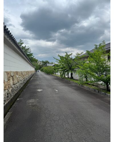 勧修寺山門への道