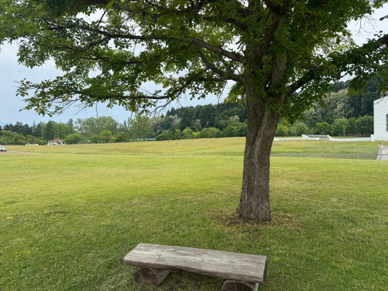 青森県立美術館