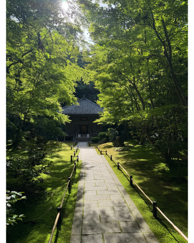 円通院三慧殿への参道