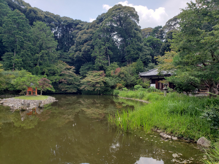 浄瑠璃寺の庭園
