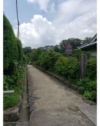 駐車場から浄瑠璃寺への道
