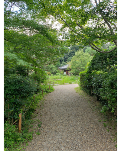 浄瑠璃寺の境内へ