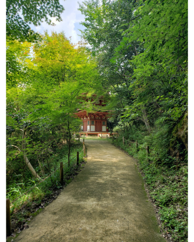 浄瑠璃寺の三重塔