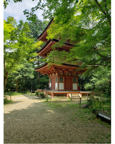 浄瑠璃寺の三重塔