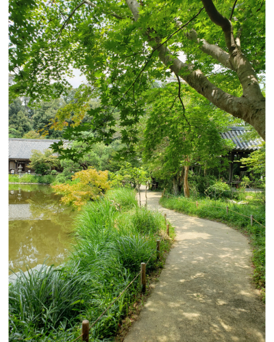 浄瑠璃寺の境内