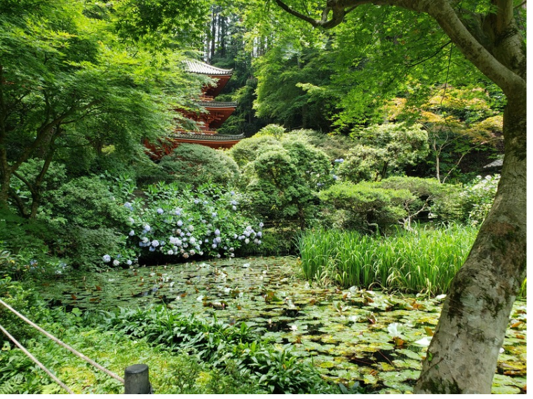岩船寺庭園