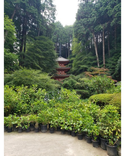 岩船寺境内